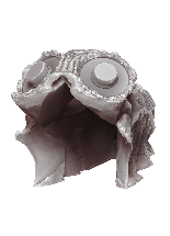 Image,Dragon Skull Dice Tower